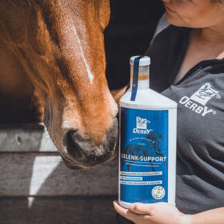 Sortiment Futterergaenzungsmittel